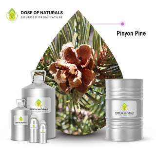 pinyon pine essential oil