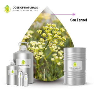 sea fennel essential oil