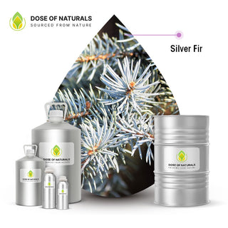 silver fir essential oil