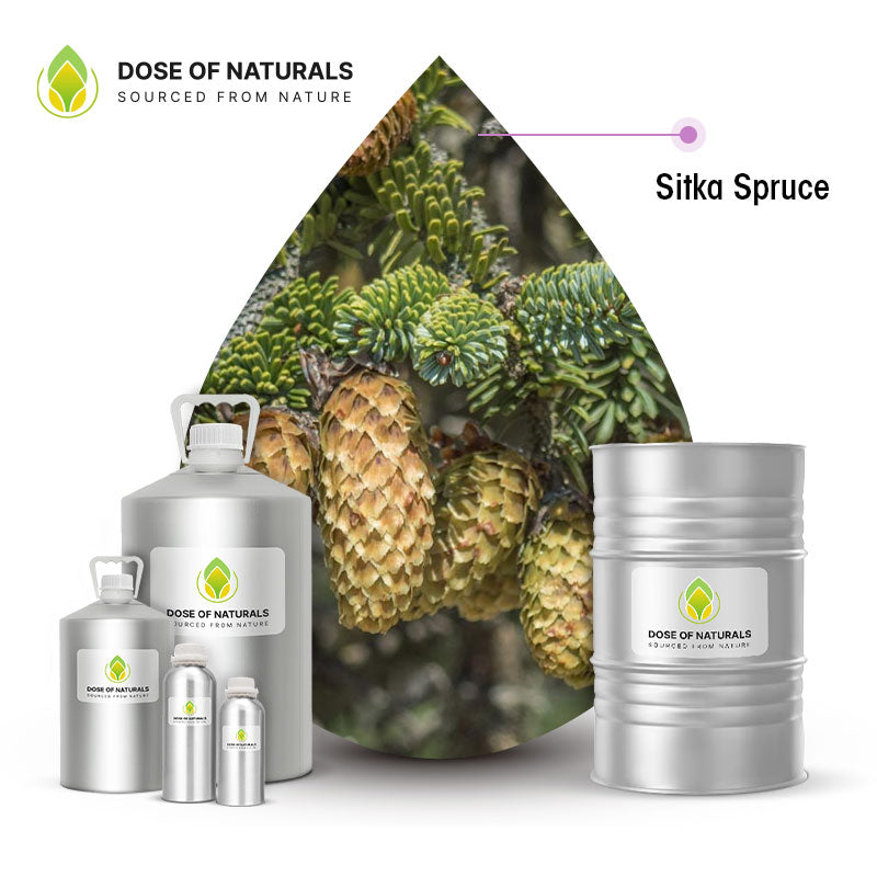 sitka spruce essential oil