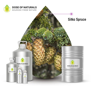 sitka spruce essential oil