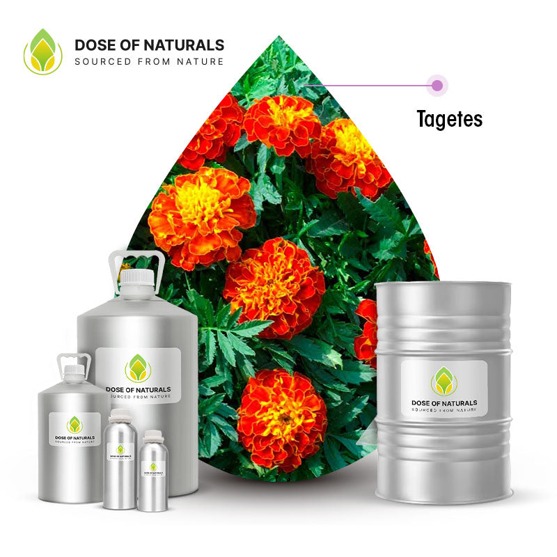 tagetes essential oil