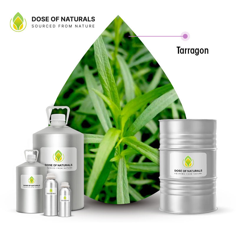 tarragon essential oil